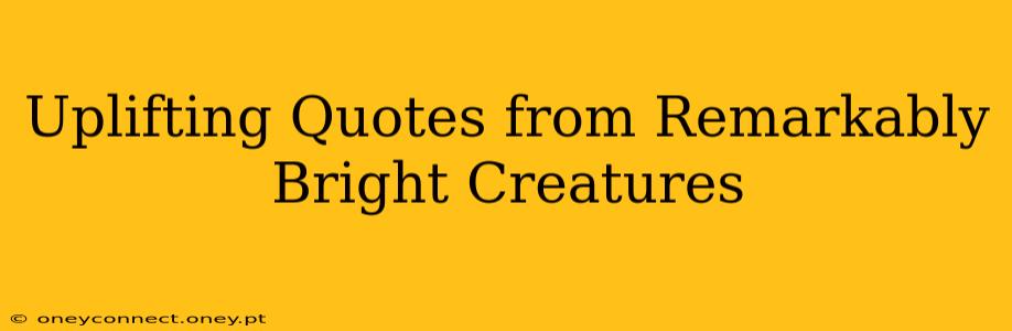 Uplifting Quotes from Remarkably Bright Creatures